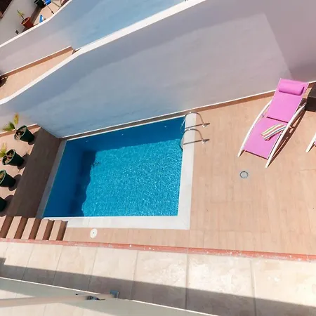 Willa Paradise - Lily Nerja